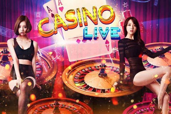 DBbet Casino پاکستان ریئل منی گیمز